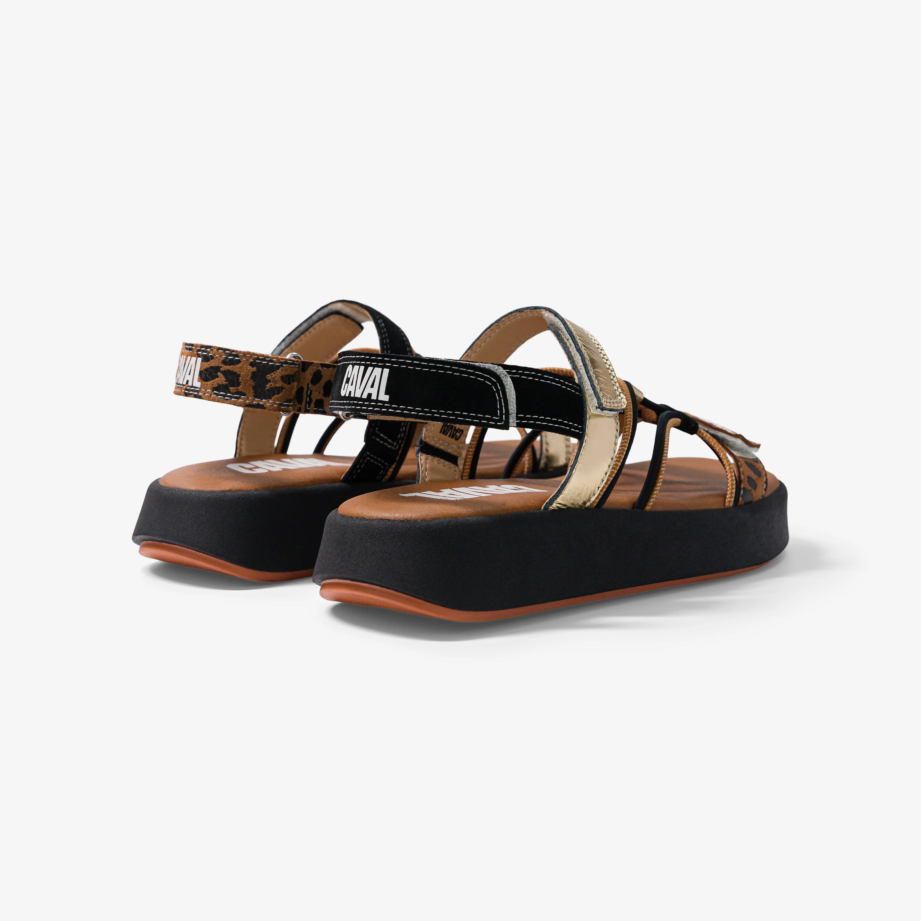 Amber Coast - Image 6