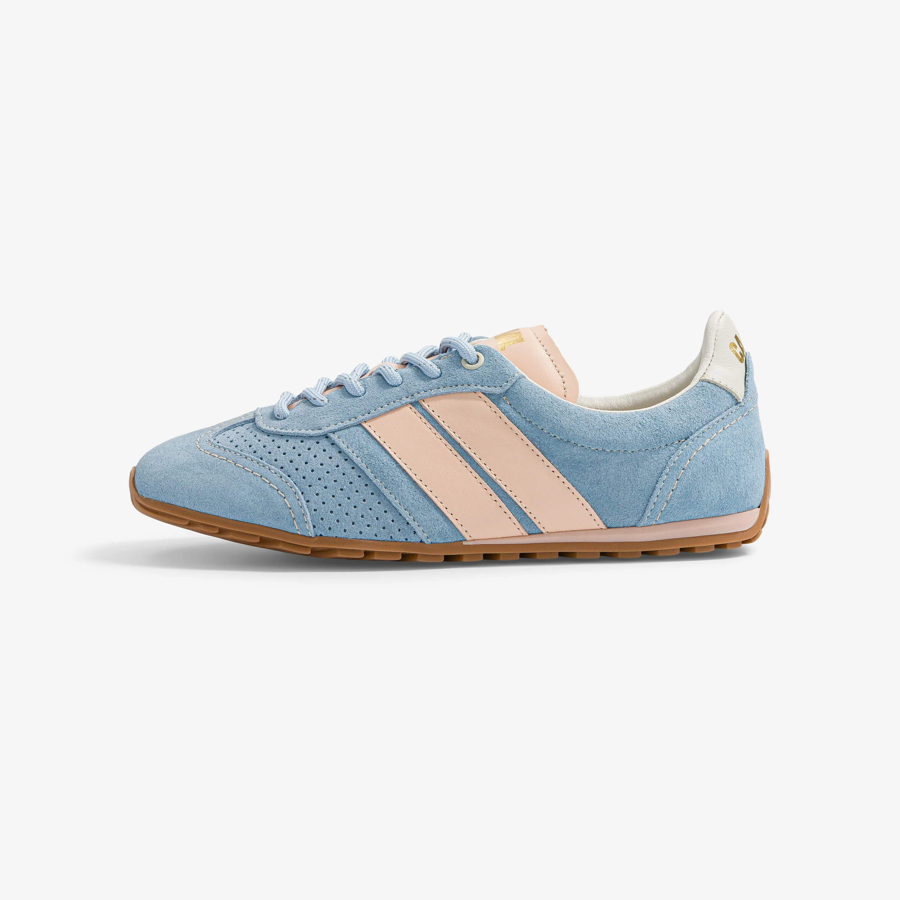 Blue Swing - VP - Image 10