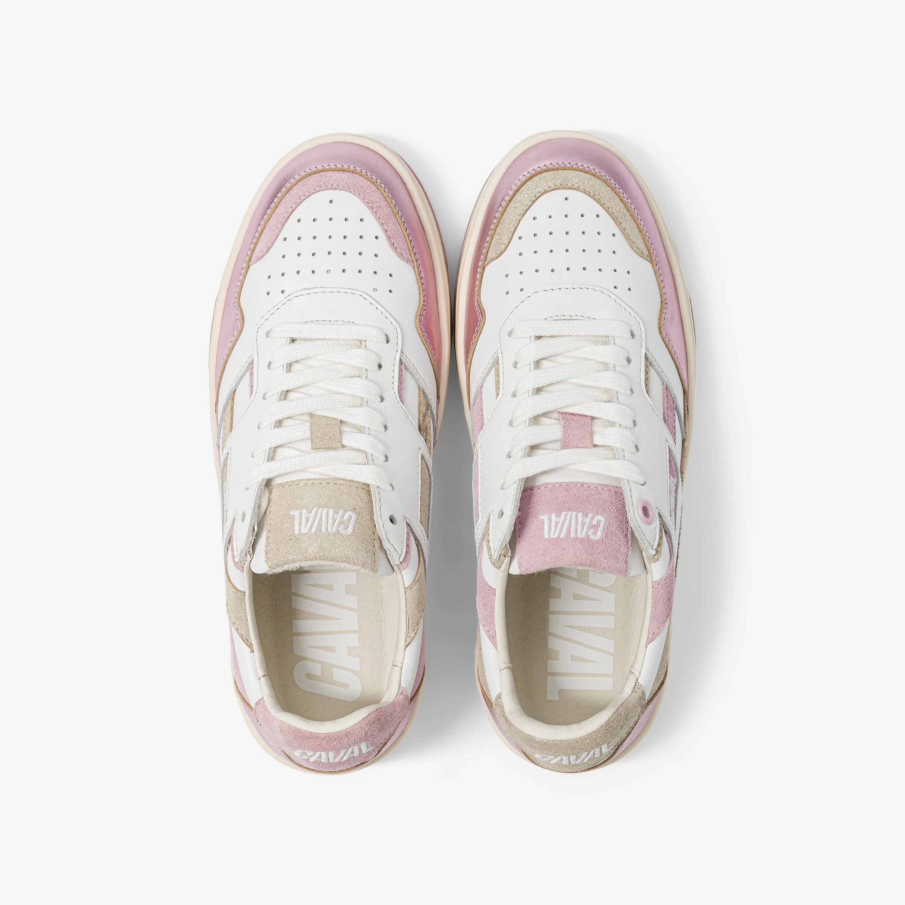 Blush Candy - VP - Image 5