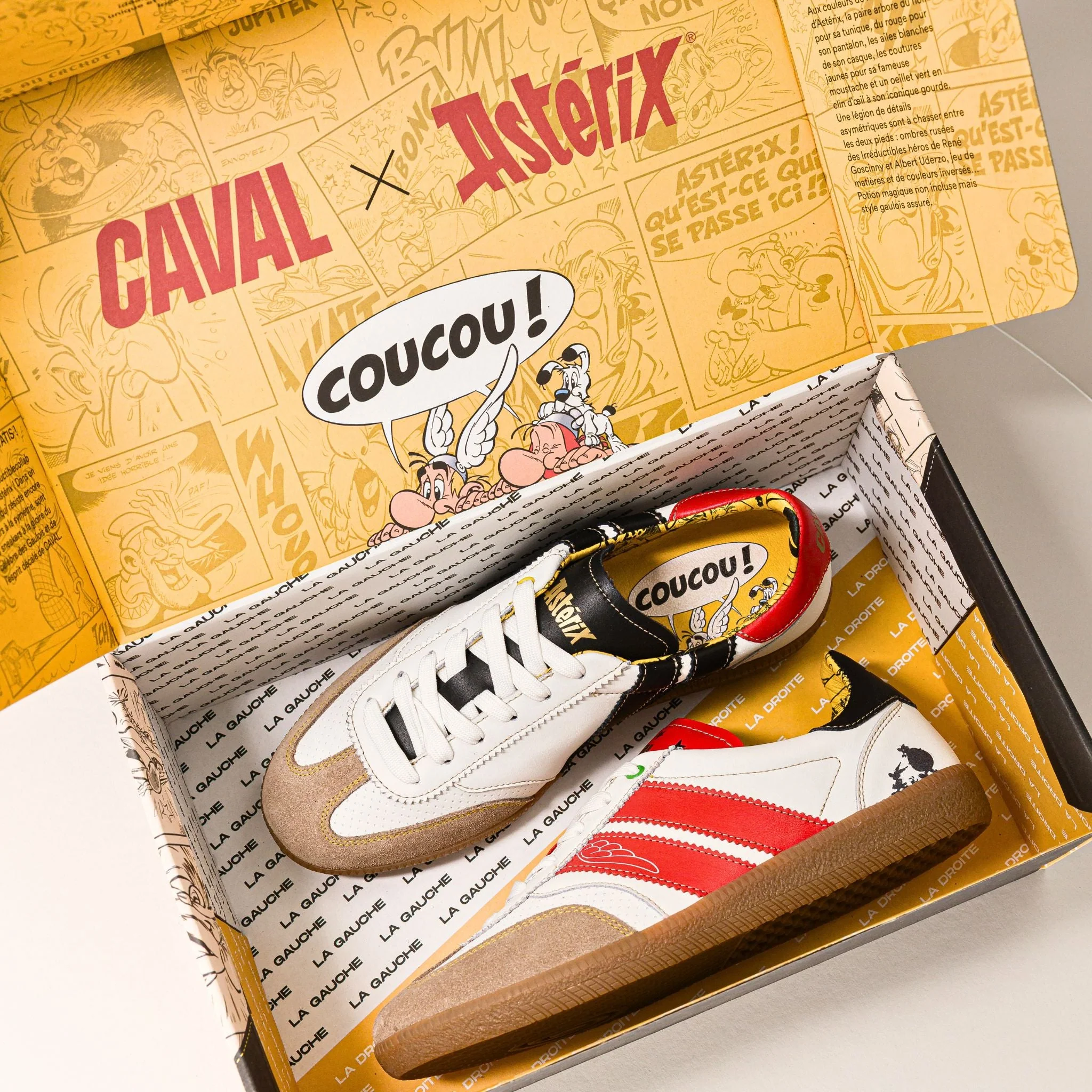 CAVAL x Astérix - VP - Image 9