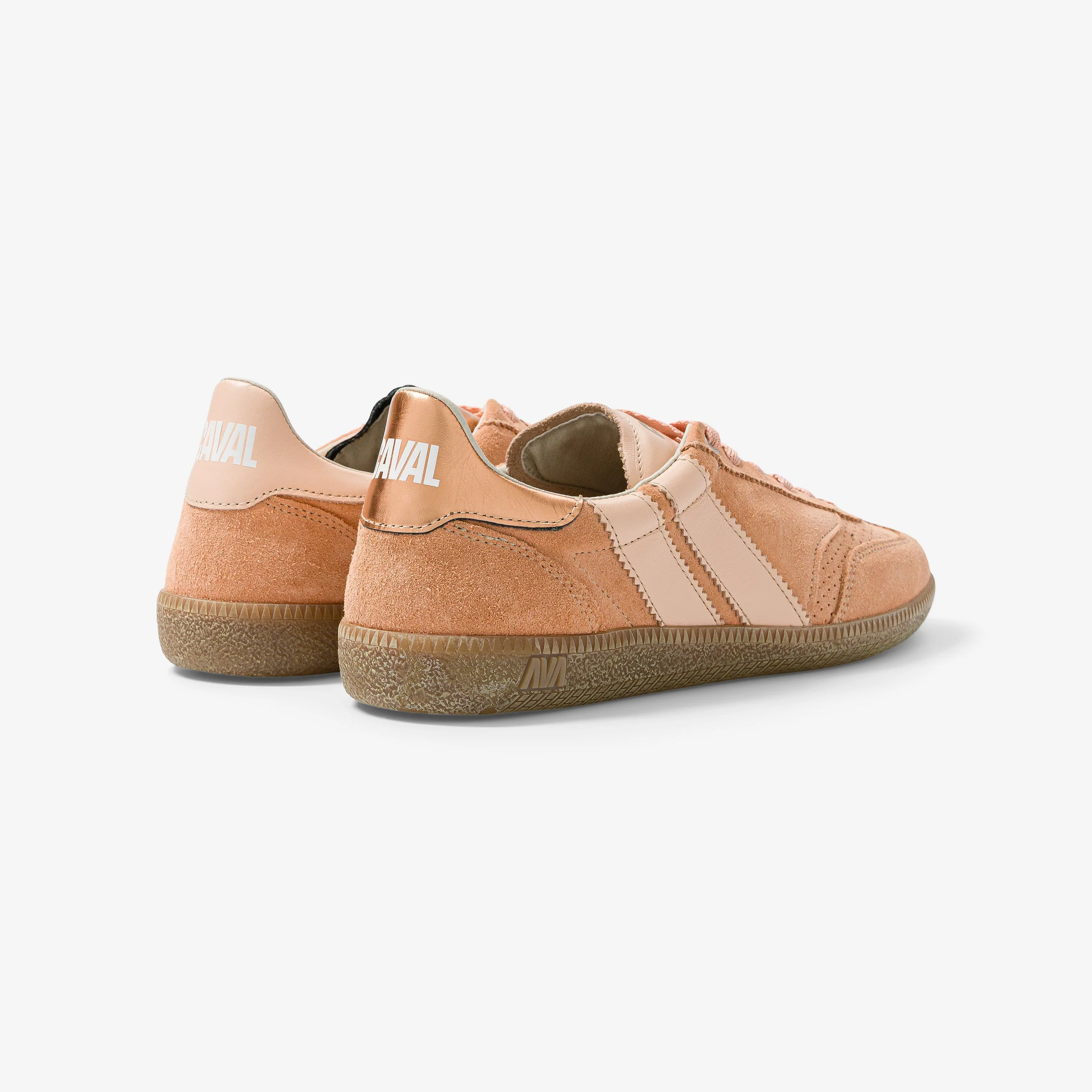 Coral Soul - VP - Image 3
