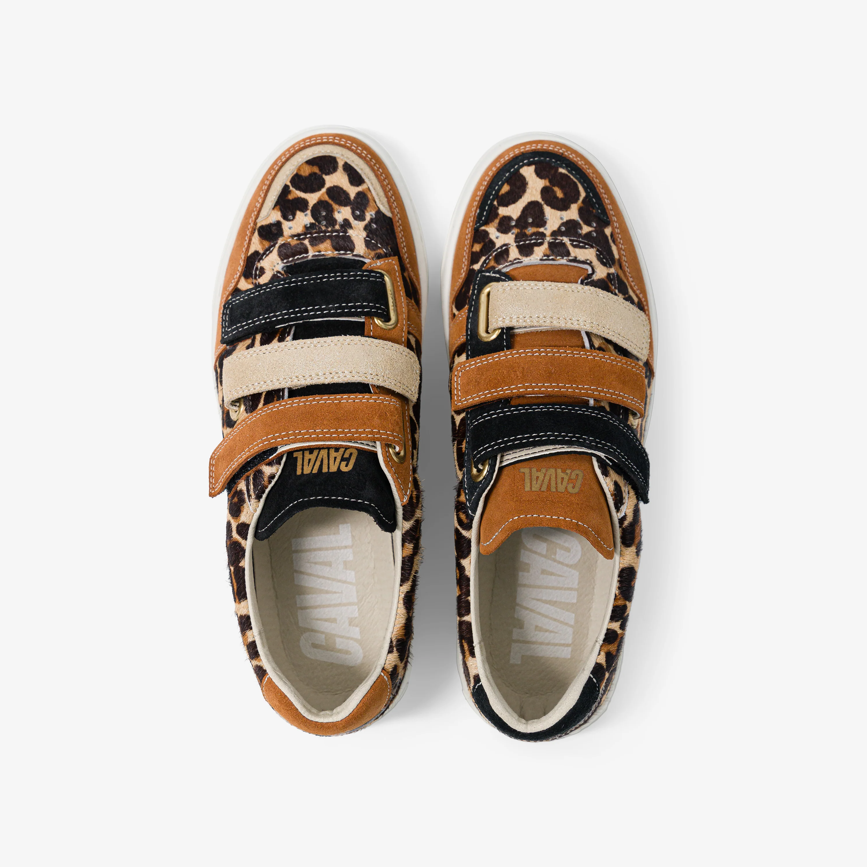 Leo Fever - Image 5