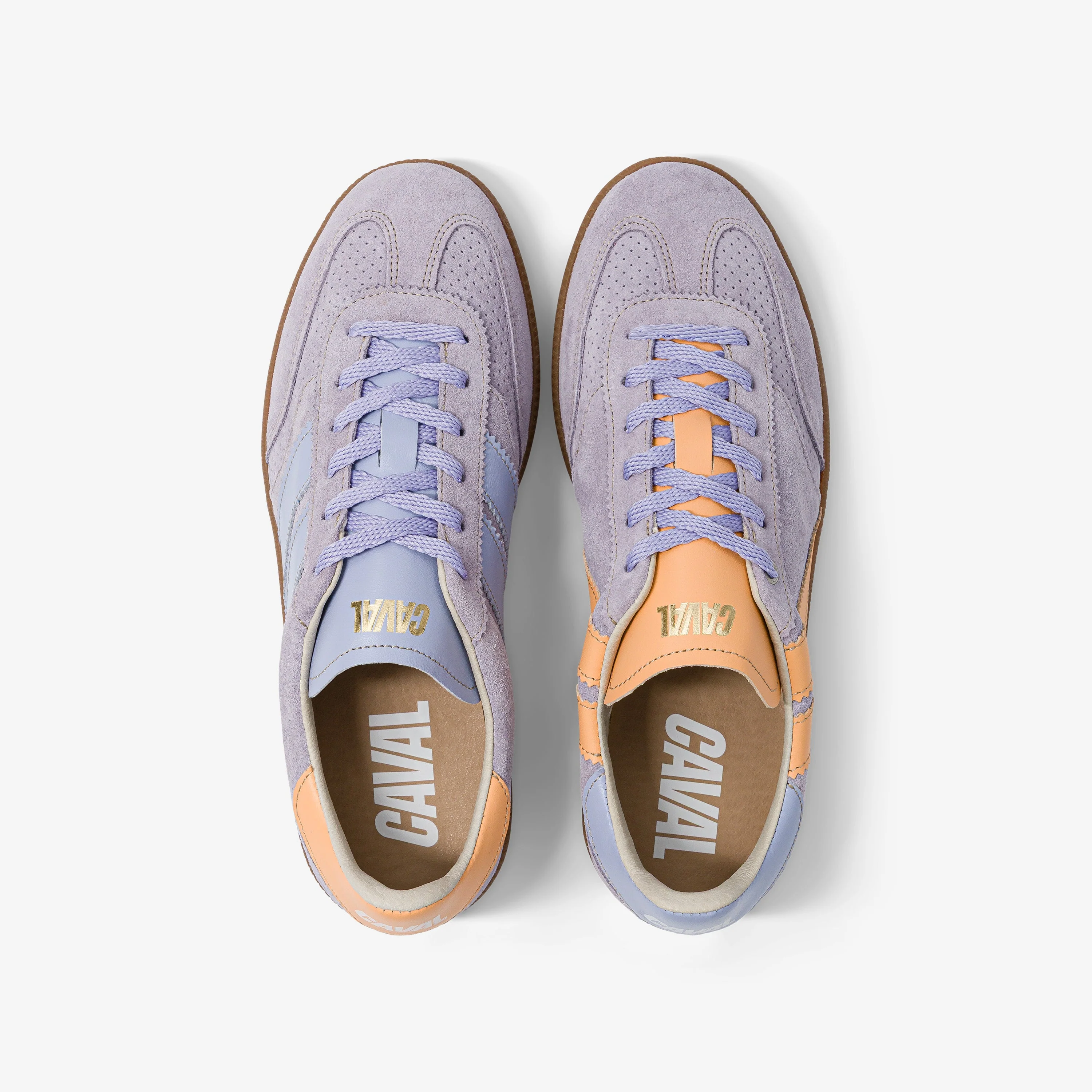 Lilac Sunrise - VP - Image 5