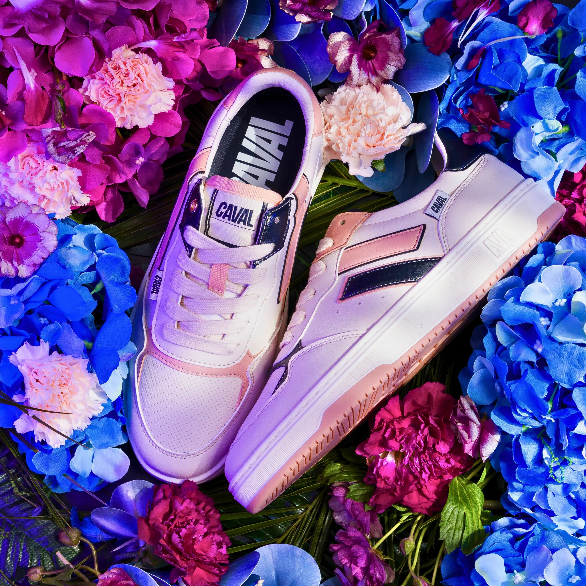 Midnight Bloom - VP - Image 8