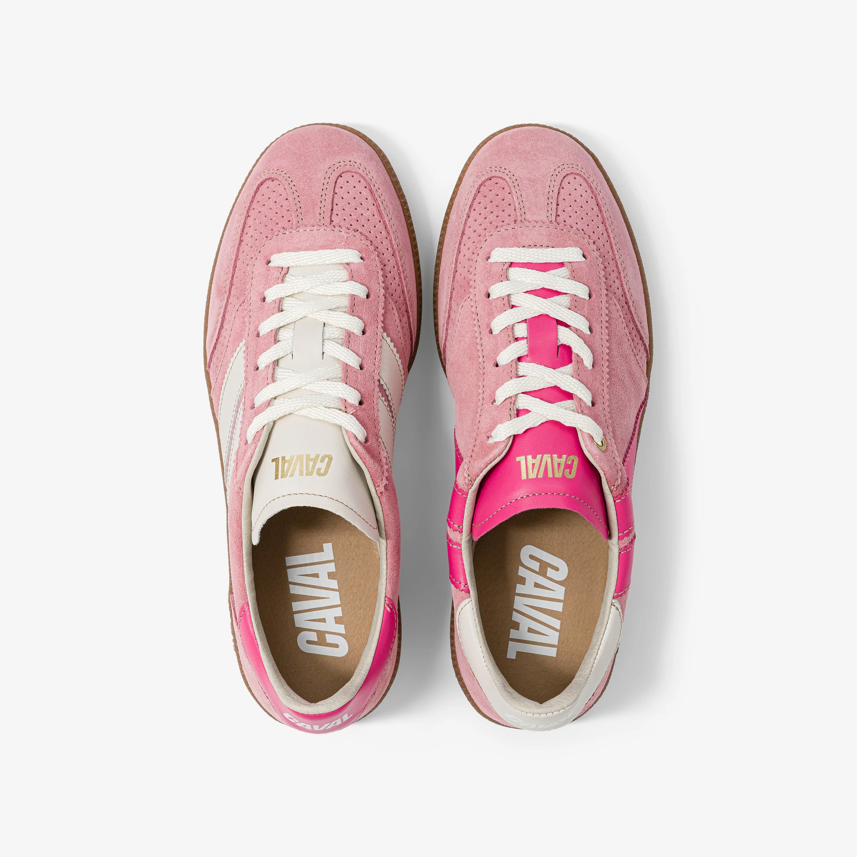 Pink Gum - VP - Image 5