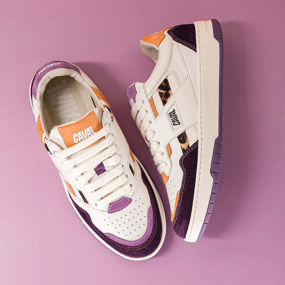 Purple Leo - Image 5