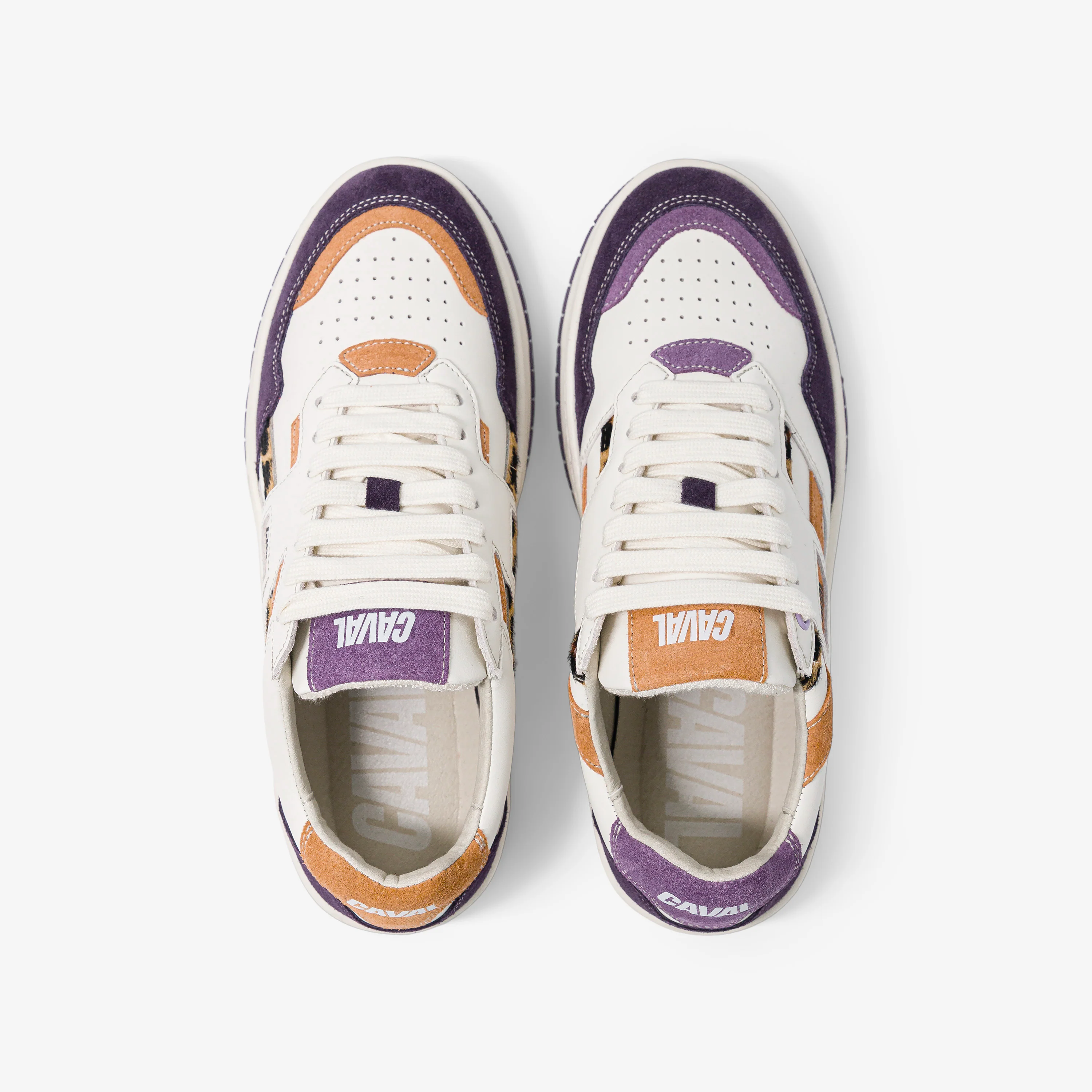 Purple Leo - Image 6