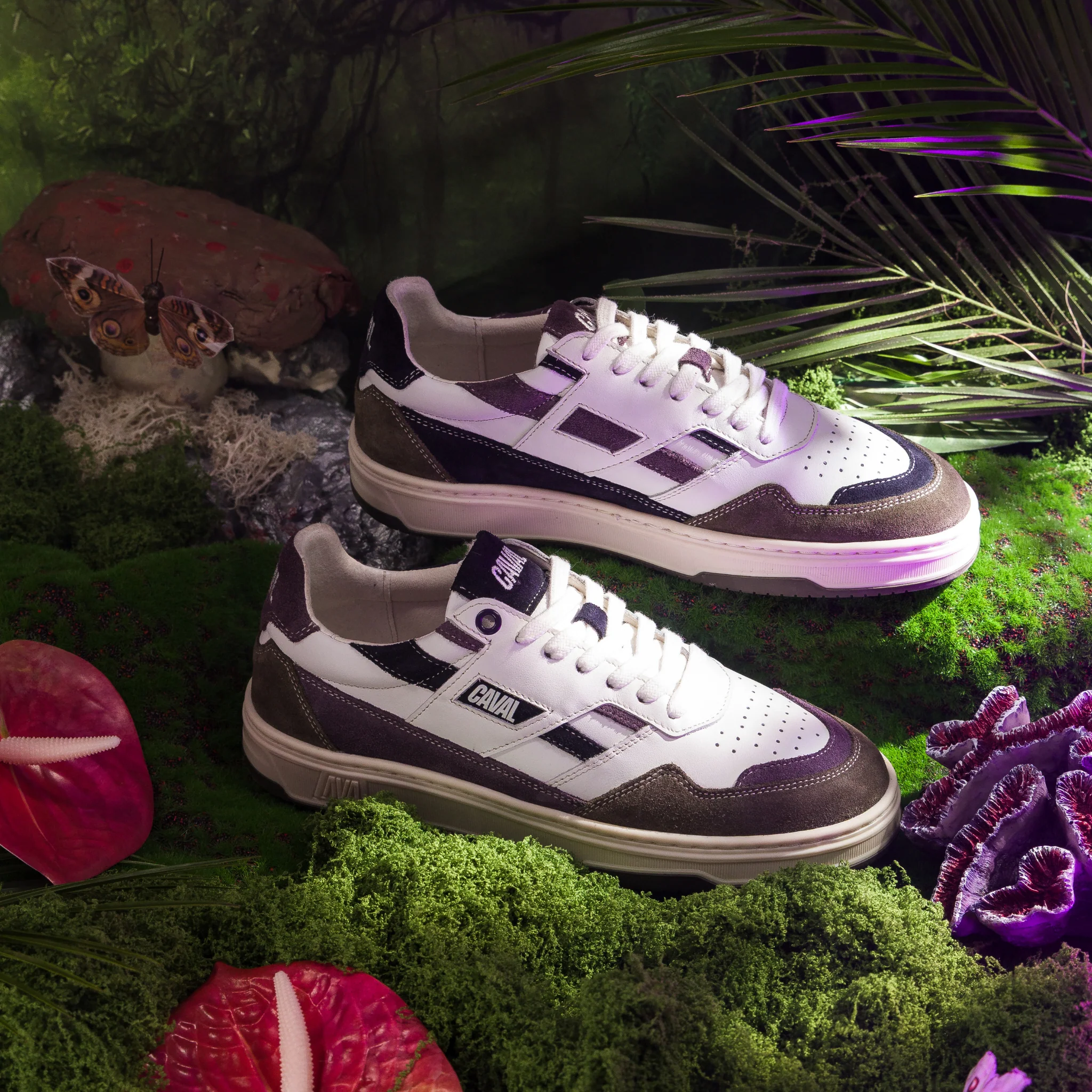 Purple Storm - Image 8