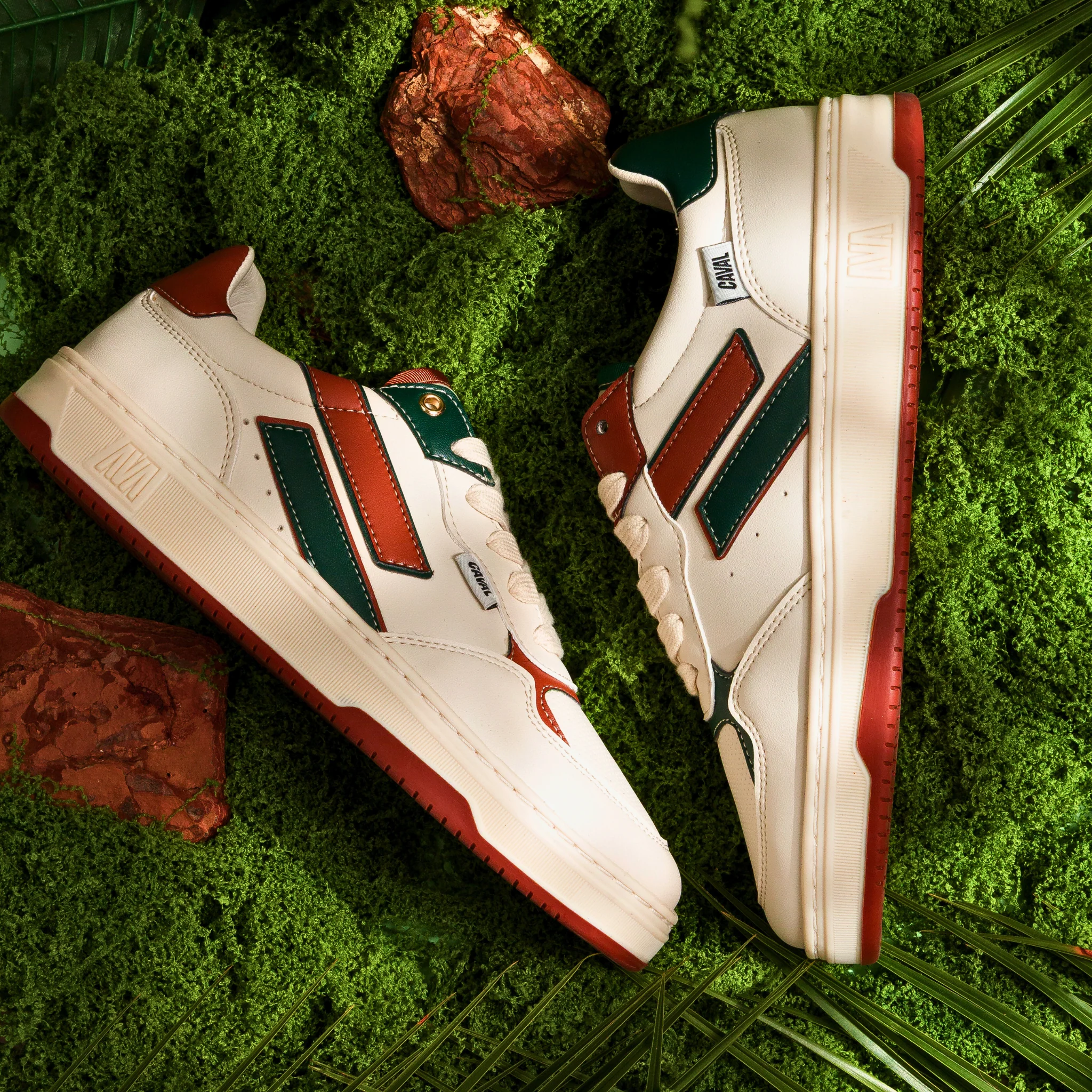 Terra Verde - Image 4