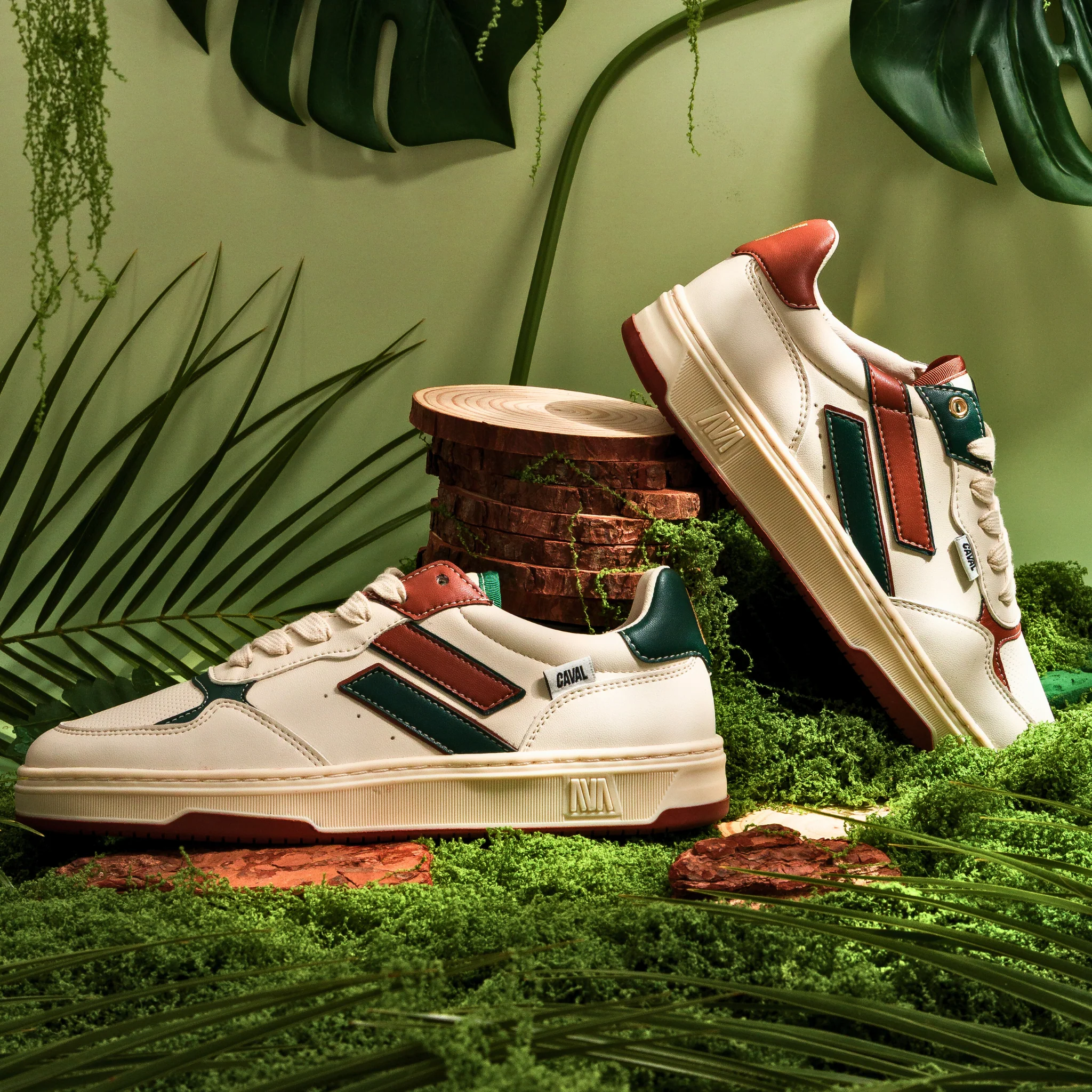 Terra Verde - Image 8