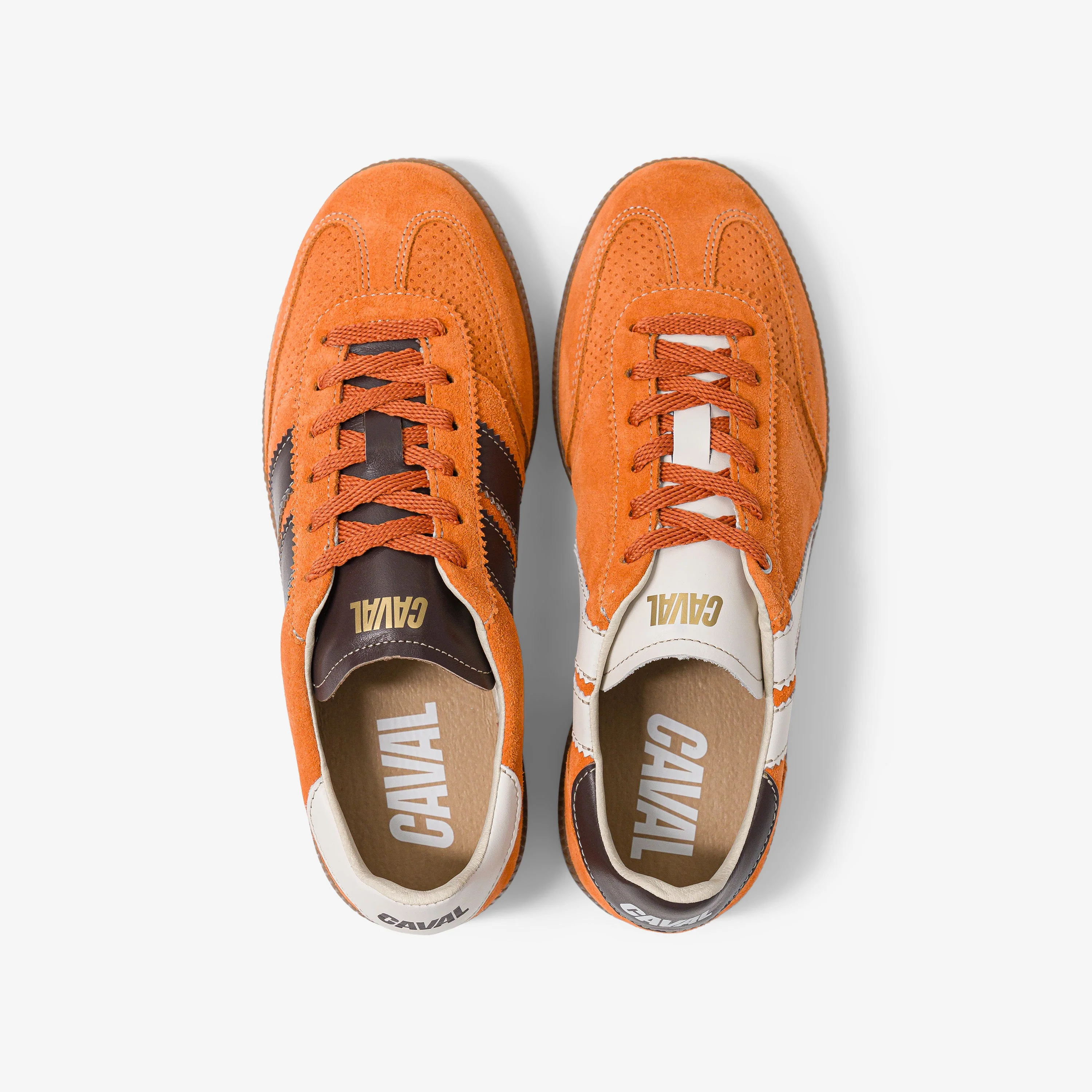 Toffee Tangerine - Image 5