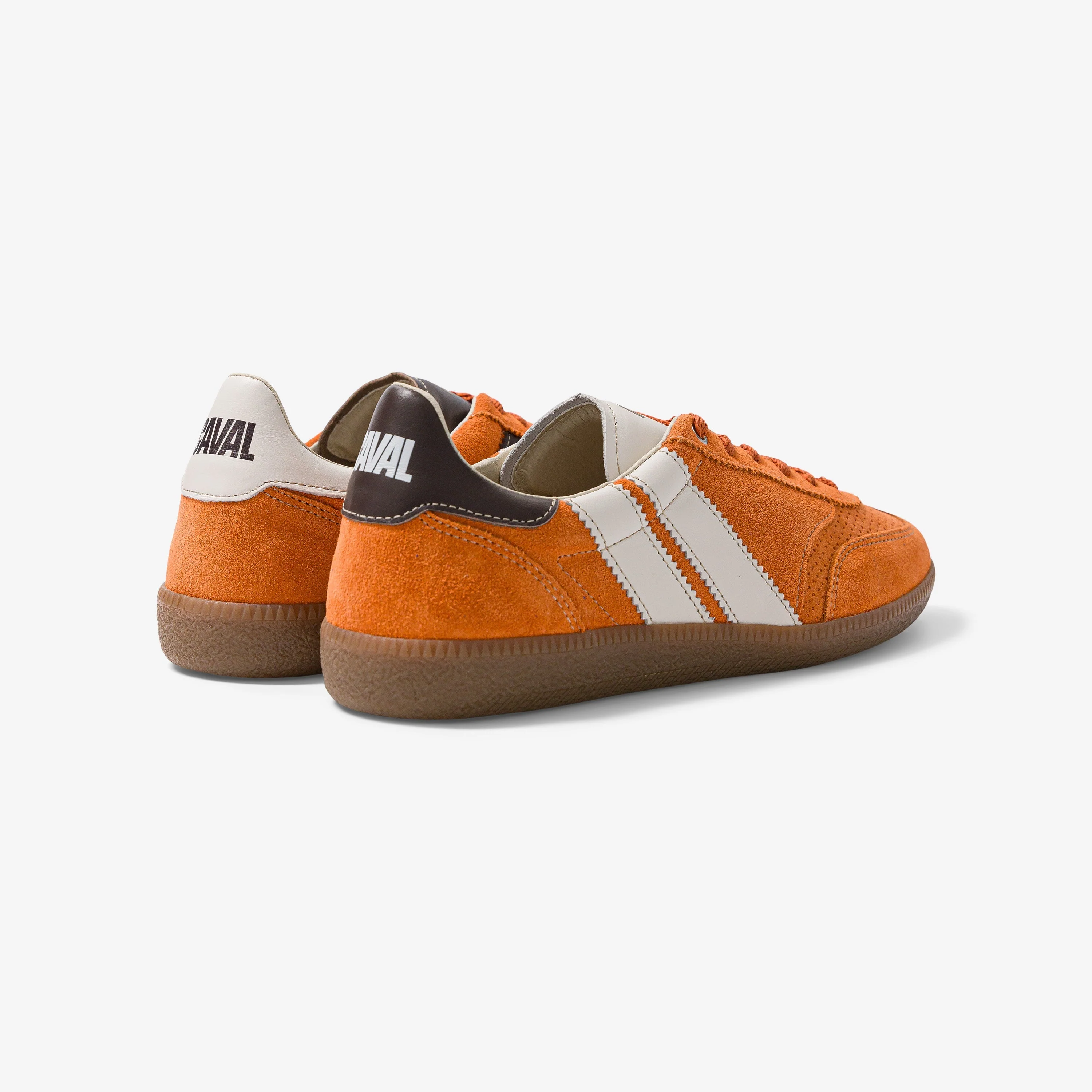 Toffee Tangerine - VP - Image 3