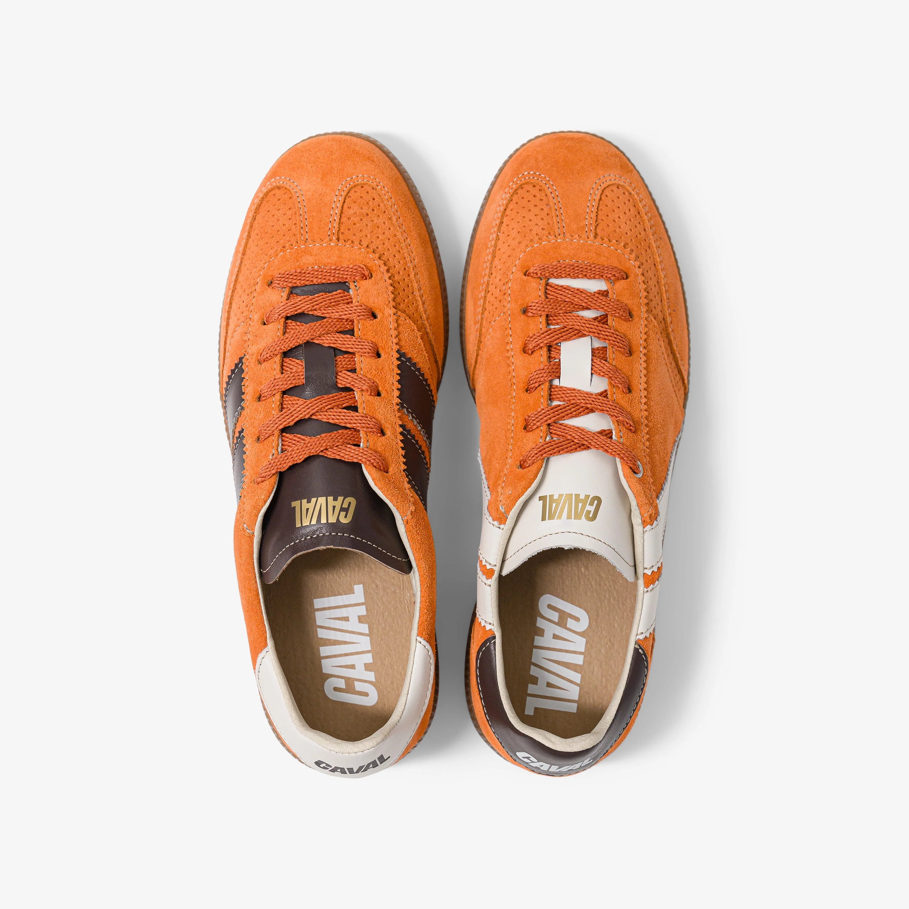 Toffee Tangerine - VP - Image 5