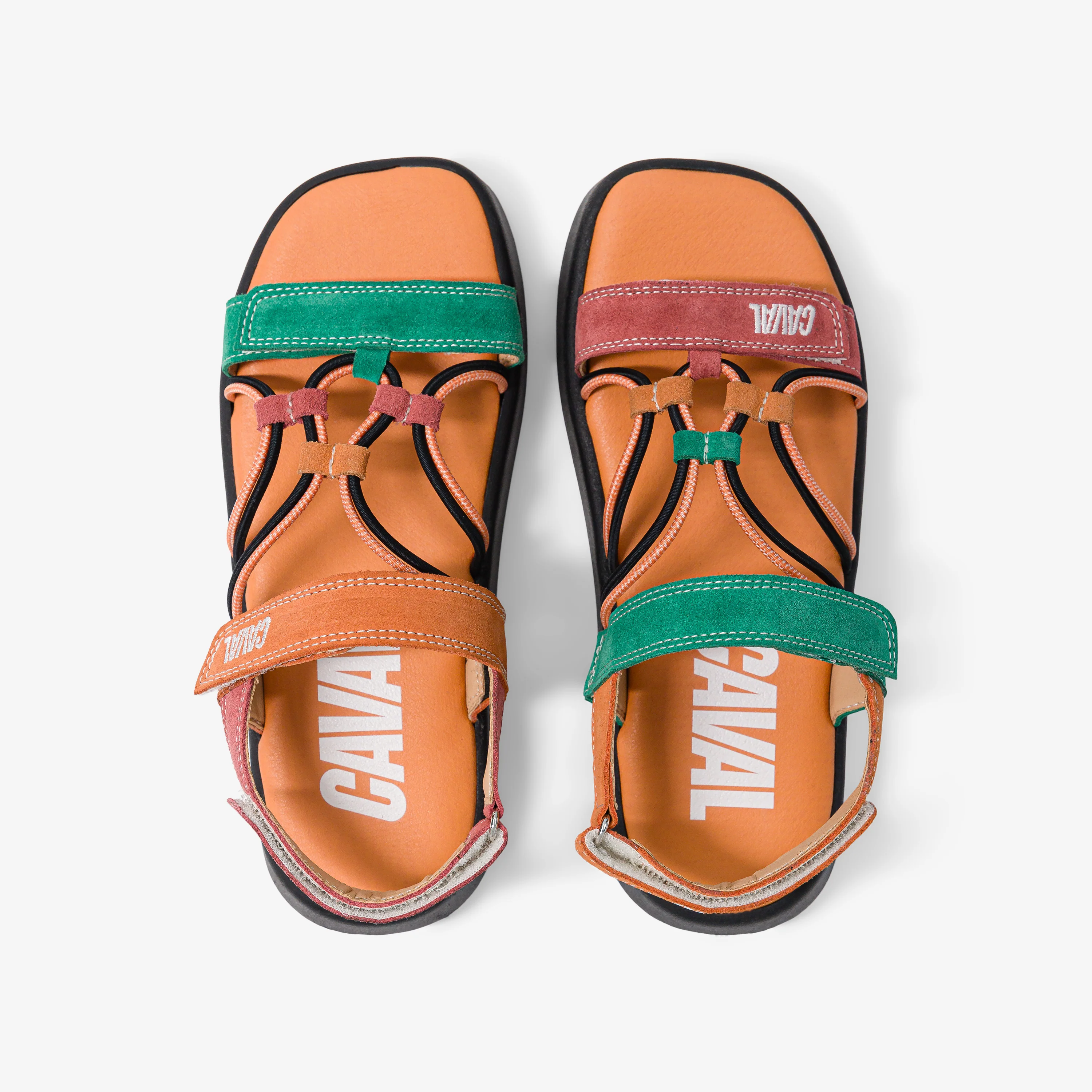 Tropical Flamingo - Image 4