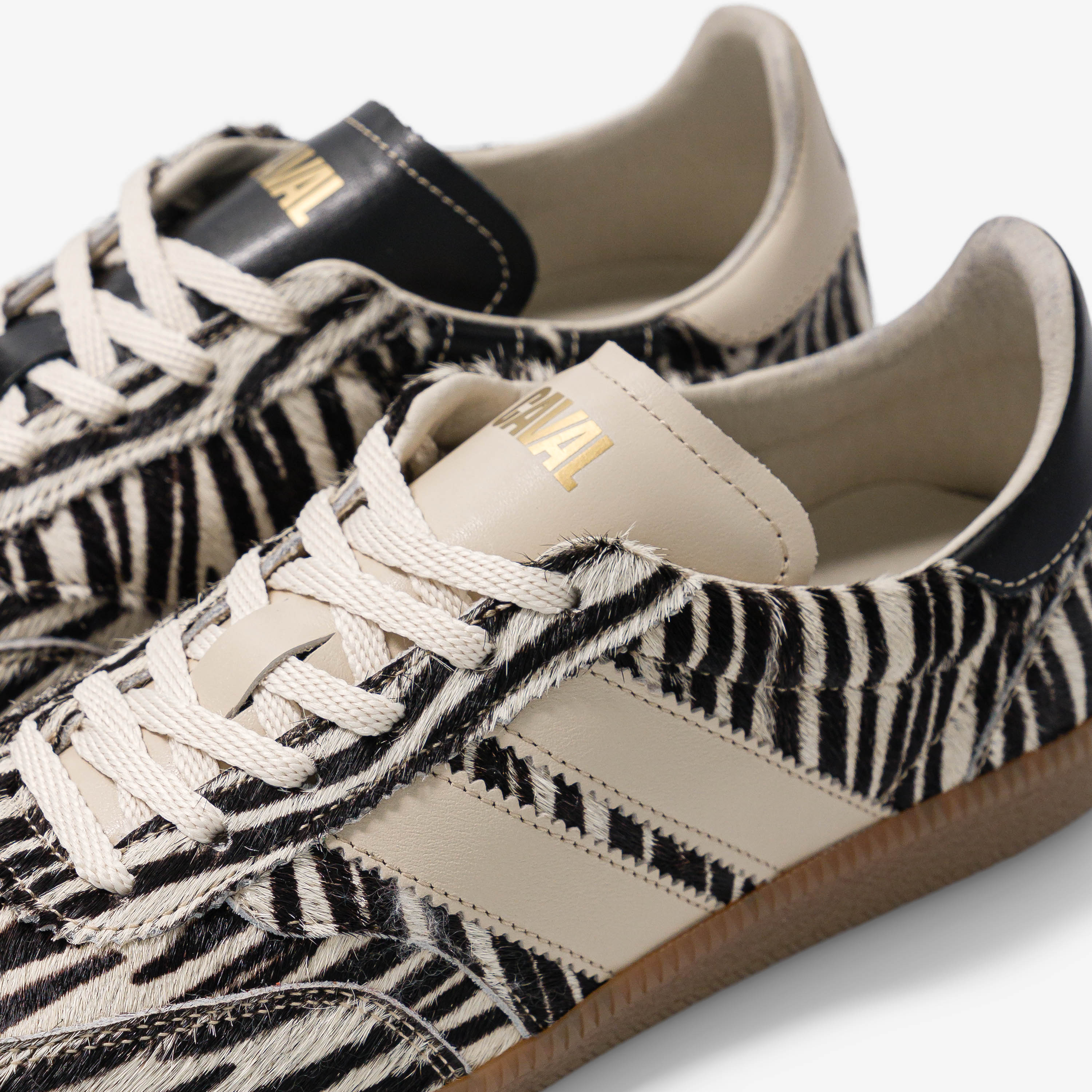 Zebra Obsession - Image 4