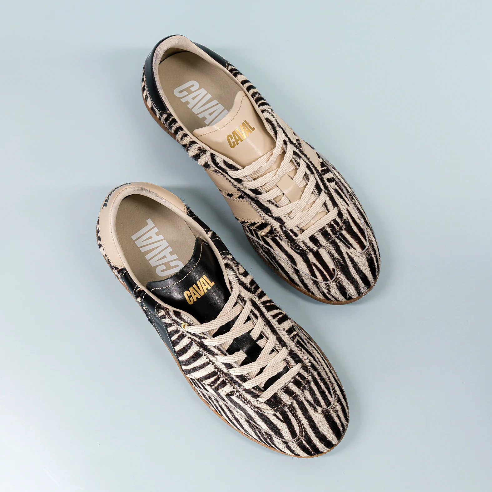 Zebra Obsession - Image 5