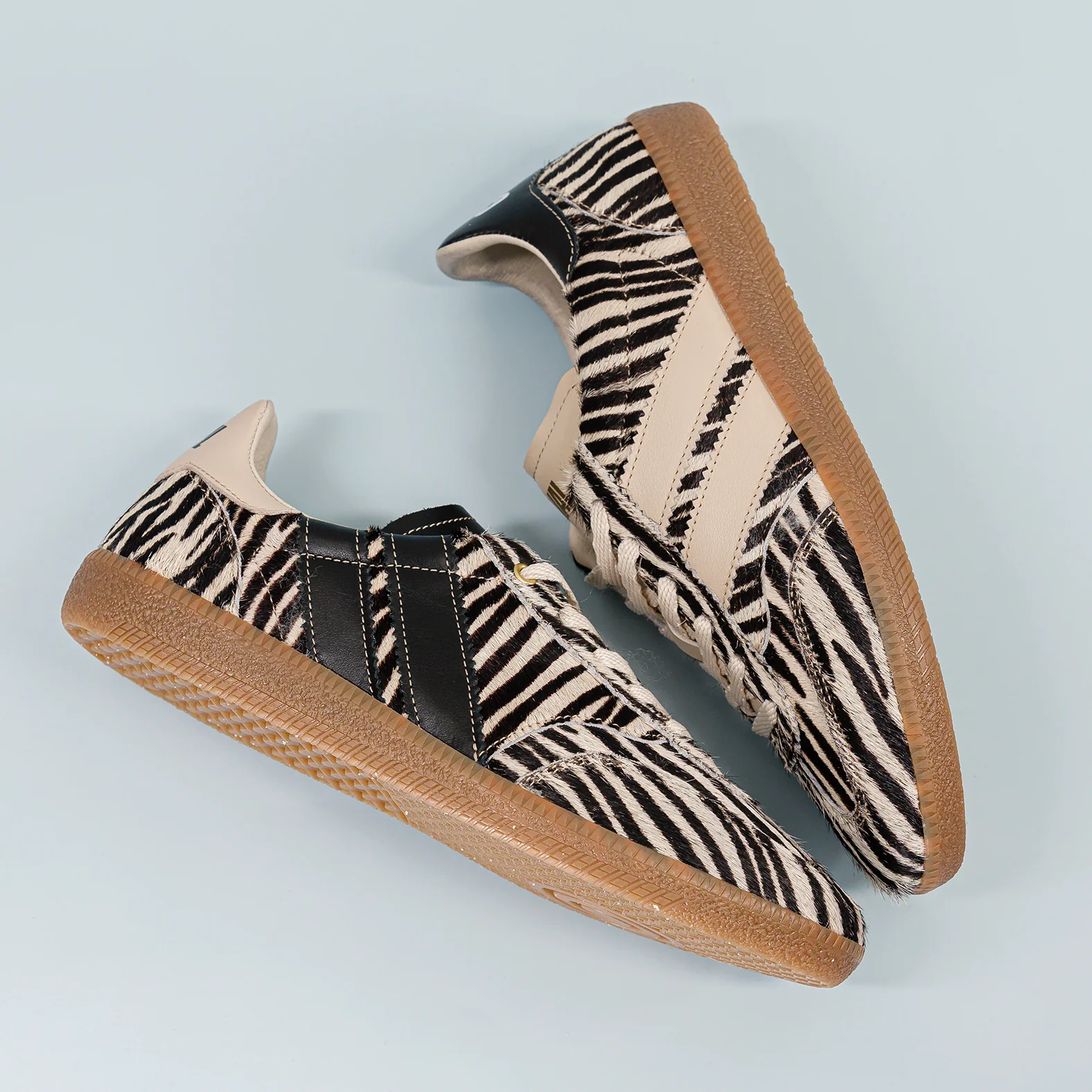 Zebra Obsession - Image 7