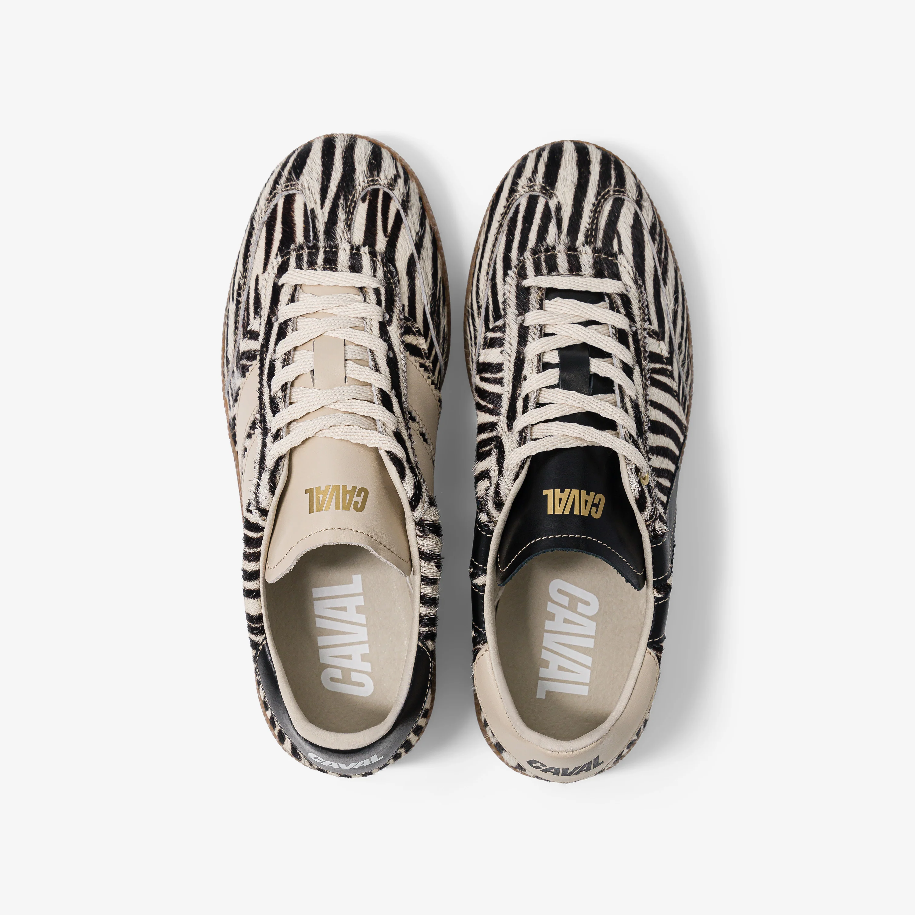 Zebra Obsession - Image 8