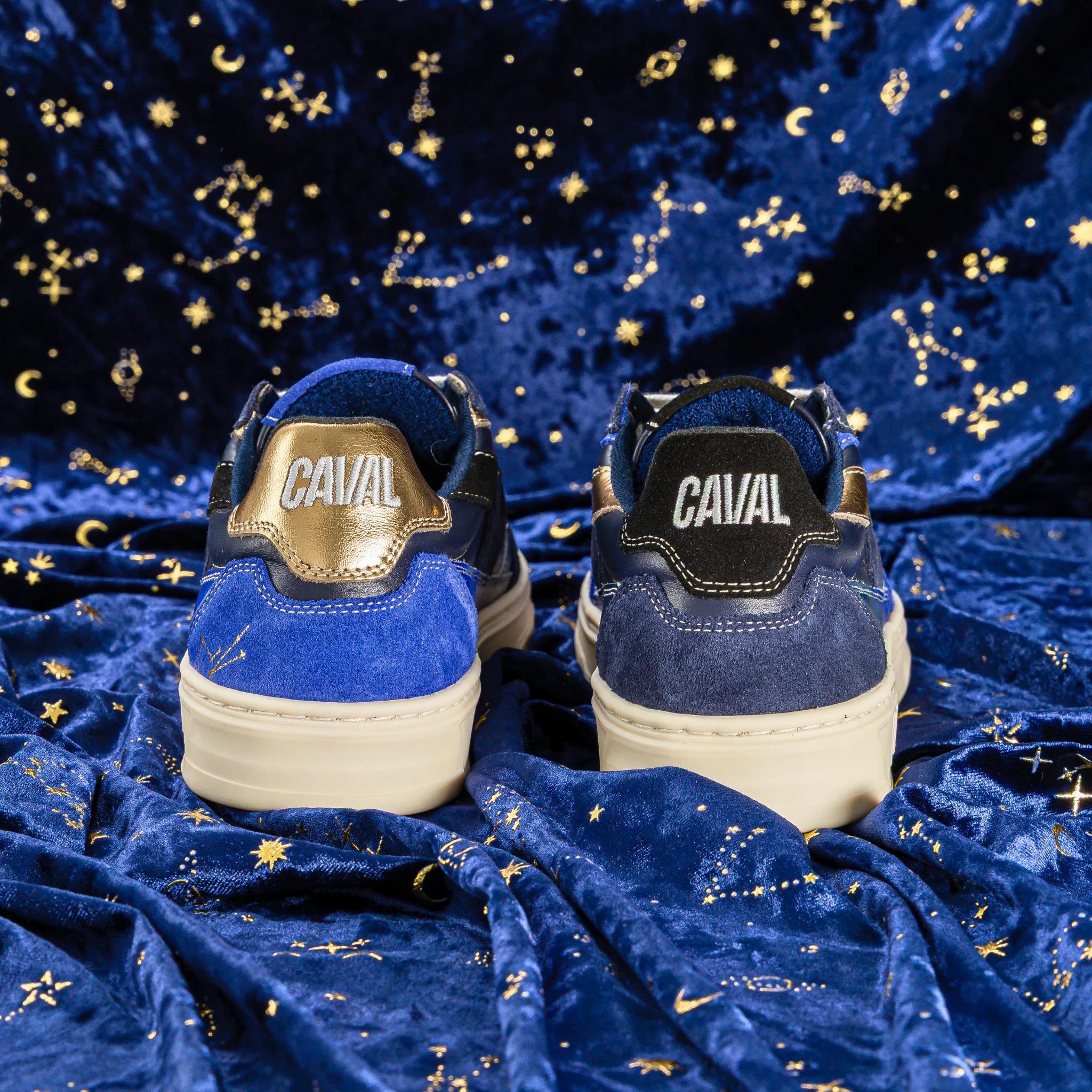 Zodiac Stellar - Image 5